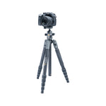 VEO 2S 265AB Aluminum Travel Tripod/Monopod with Ball Head