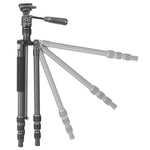 Vesta GO 204CP Carbon Fiber Travel Tripod w/ Pan Head